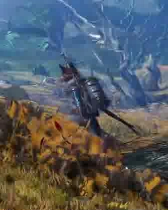 Close-up shot of one of the players: the fox