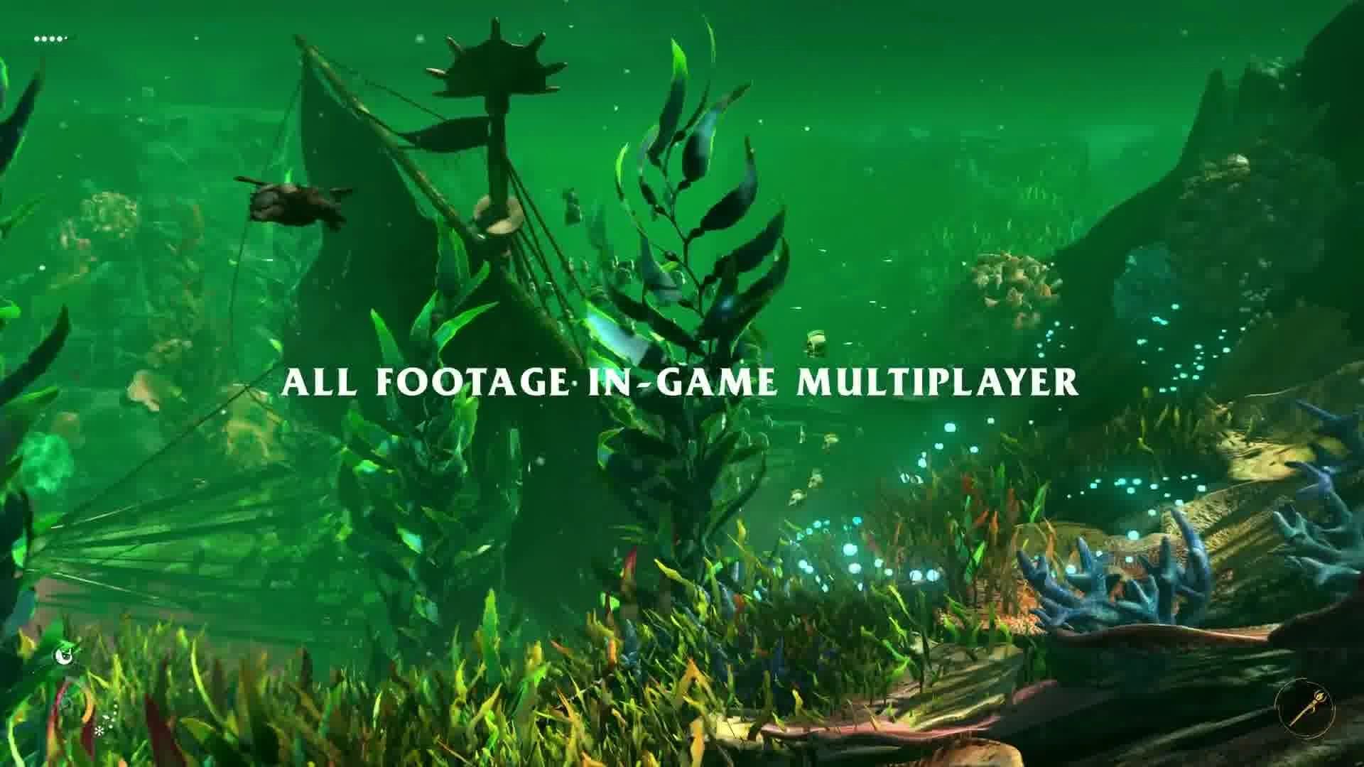 An ocean scene with multiple creatures swimming